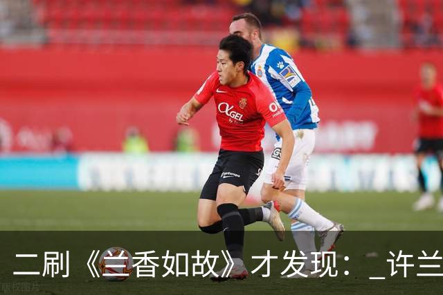 二刷《兰香如故》才发现： 许兰香知道赵星棠不喜欢林锦岐，但不知道的是林锦岐曾真心喜欢过赵星棠，也因此才有了后来对她的偏爱！