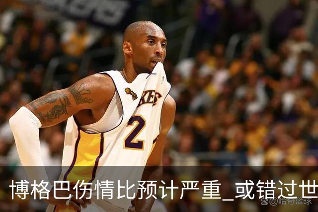 博格巴伤情比预计严重 或错过世界杯到明年才复出