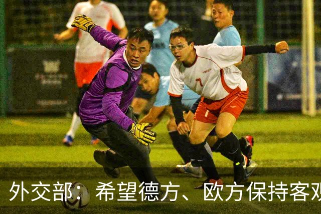 外交部：希望德方、欧方保持客观理性，同中方相向而行