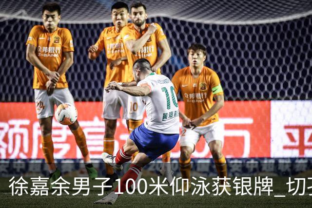 徐嘉余男子100米仰泳获银牌 切孔夺金
