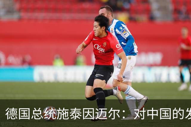 德国总统施泰因迈尔：对中国的发展成就深为钦佩