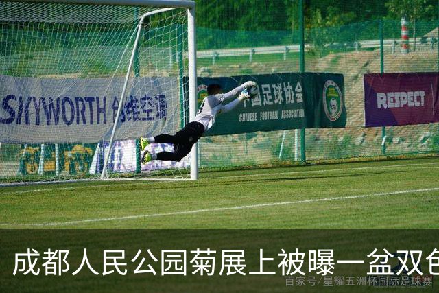 成都人民公园菊展上被曝一盆双色菊花丢失