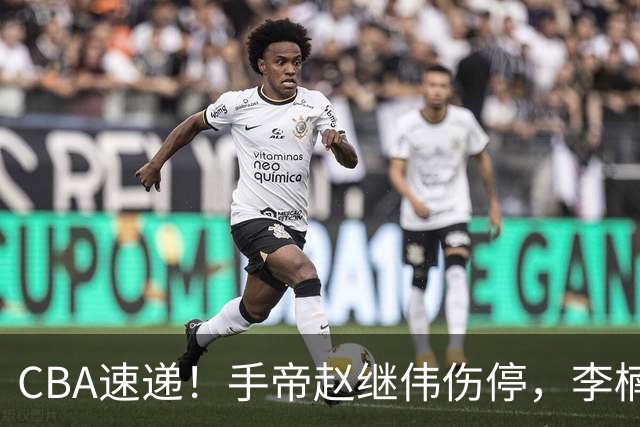 CBA速递！手帝赵继伟伤停，李楠吃一堑长一智，赵柏清日本联赛MVP！